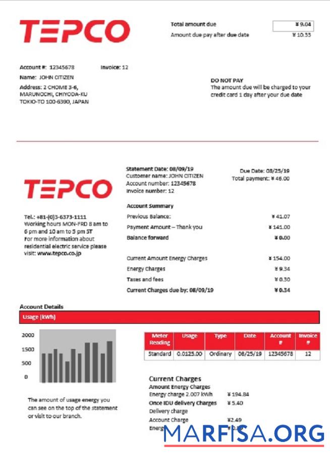Blank Japan Tokyo Electric Power Company electricity utility bill template in Word and PDF format